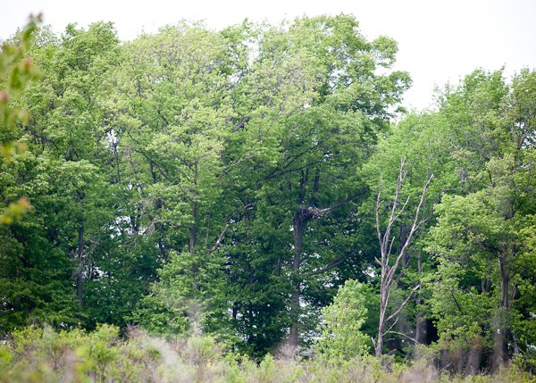 DSC_0435 DSC_0435
