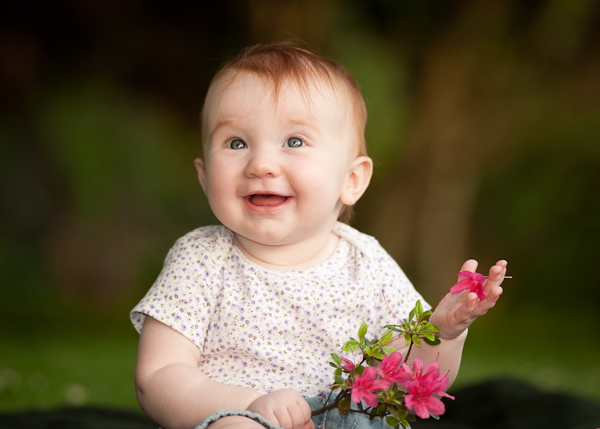 DSC_0531 DSC_0531
