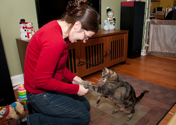 DSC_6171 DSC_6171