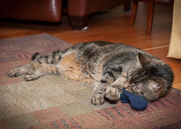 DSC_6182 DSC_6182